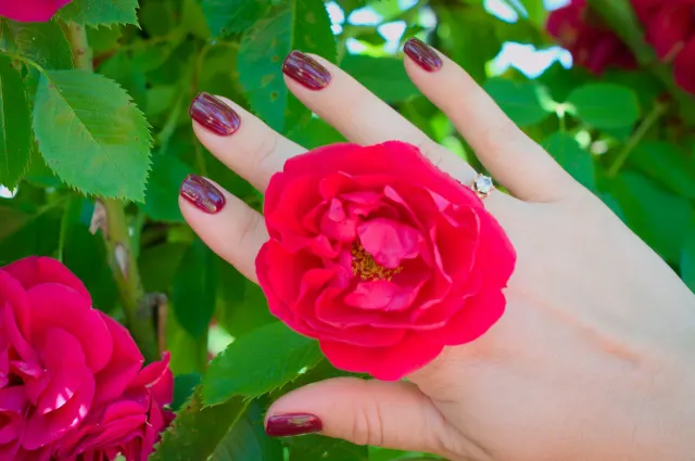مدل ناخن لاک شرابی، فرم بیضی و گرد