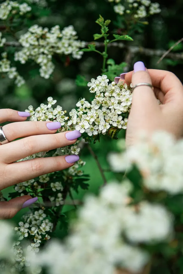 مدل ناخن لاک بنفش روشن، فرم بیضی و گرد